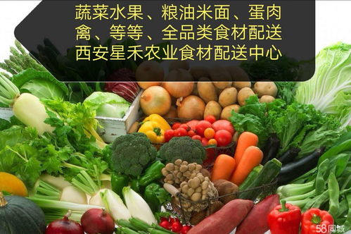 食堂送菜配送蔬菜公司 為餐飲行業提供高效、新鮮的蔬菜供應